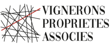 カーズ・ブランク