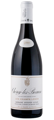 アントナン・ギヨン ショレ・レ・ボーヌ 赤 2022